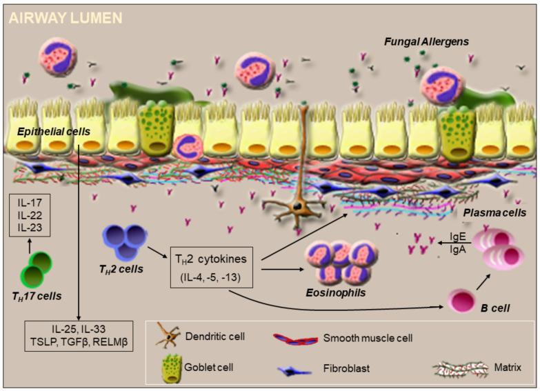 https://cdn.ncbi.nlm.nih.gov/pmc/blobs/0bc6/8071493/9dfe8c914889/cells-10-00913-g003.jpg