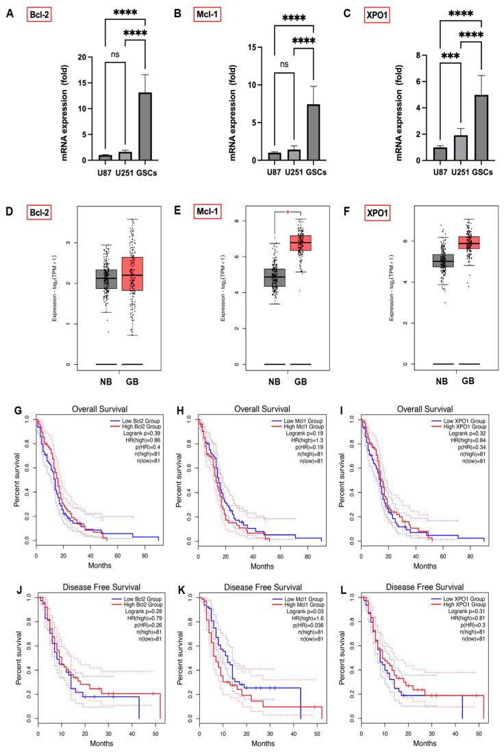 https://cdn.ncbi.nlm.nih.gov/pmc/blobs/0bc7/11011525/36f4b142685e/cells-13-00632-g003.jpg