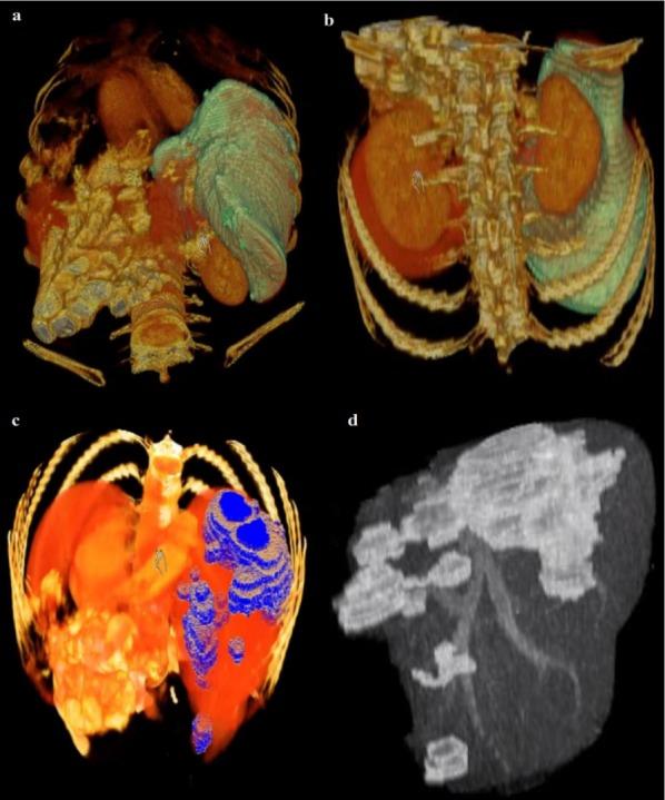 https://cdn.ncbi.nlm.nih.gov/pmc/blobs/0bc7/5225683/d1e28a2728d2/EXCLI-15-500-g-010.jpg