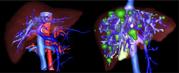 https://cdn.ncbi.nlm.nih.gov/pmc/blobs/0bc7/5225683/ec7f534426e0/EXCLI-15-500-g-006.jpg