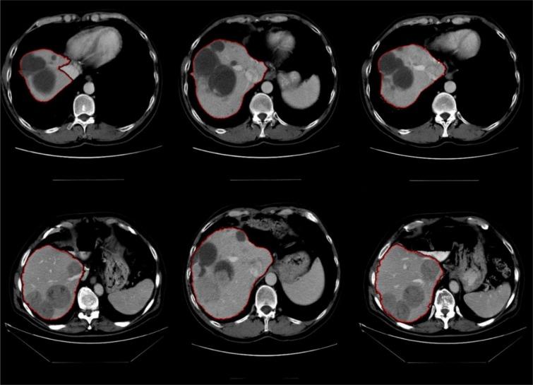 https://cdn.ncbi.nlm.nih.gov/pmc/blobs/0bc7/5225683/f89bf500e02c/EXCLI-15-500-g-009.jpg