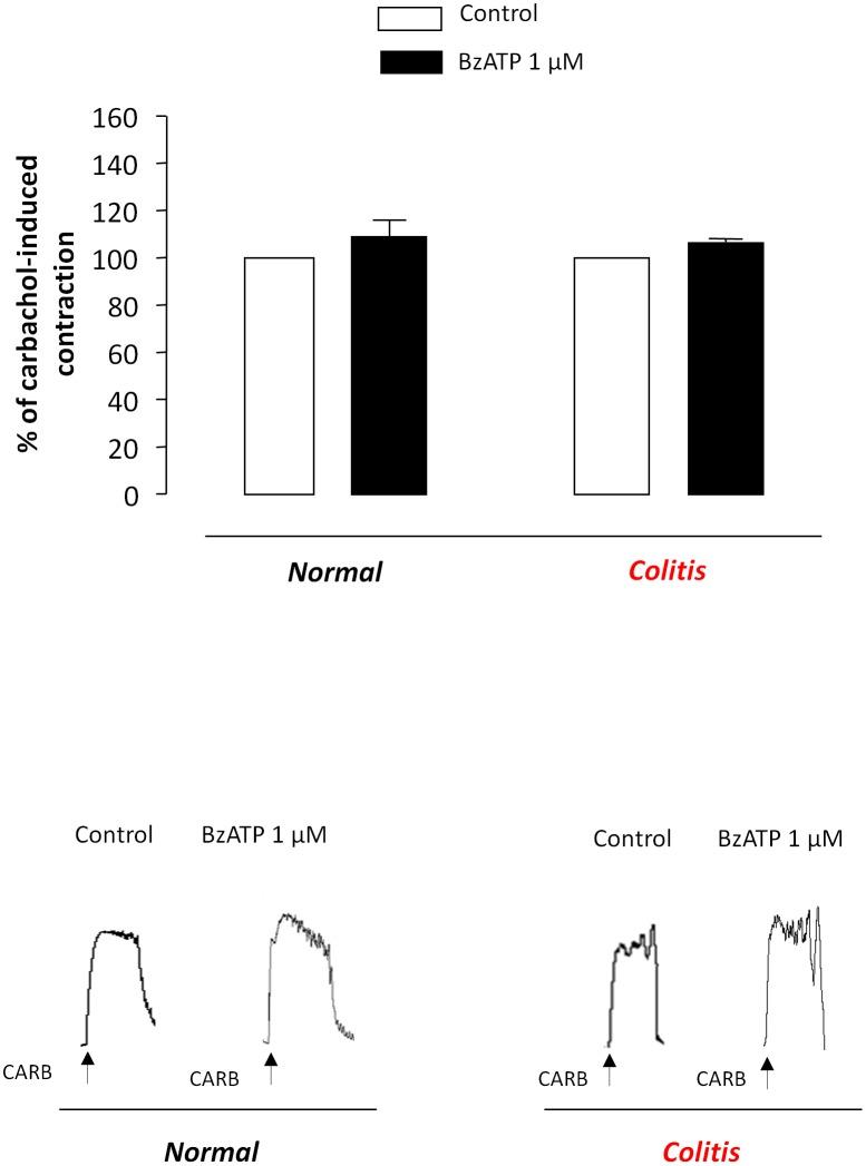 https://cdn.ncbi.nlm.nih.gov/pmc/blobs/0bc8/4280204/d64ca1d685a8/pone.0116253.g008.jpg