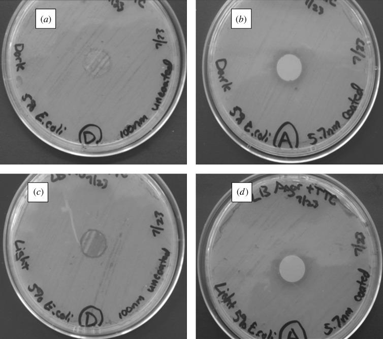 https://cdn.ncbi.nlm.nih.gov/pmc/blobs/0bc9/2944392/2ed501f560c7/rsta20100011-g15.jpg