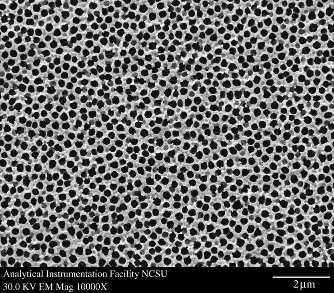 https://cdn.ncbi.nlm.nih.gov/pmc/blobs/0bc9/2944392/59089e744408/rsta20100011-g4.jpg