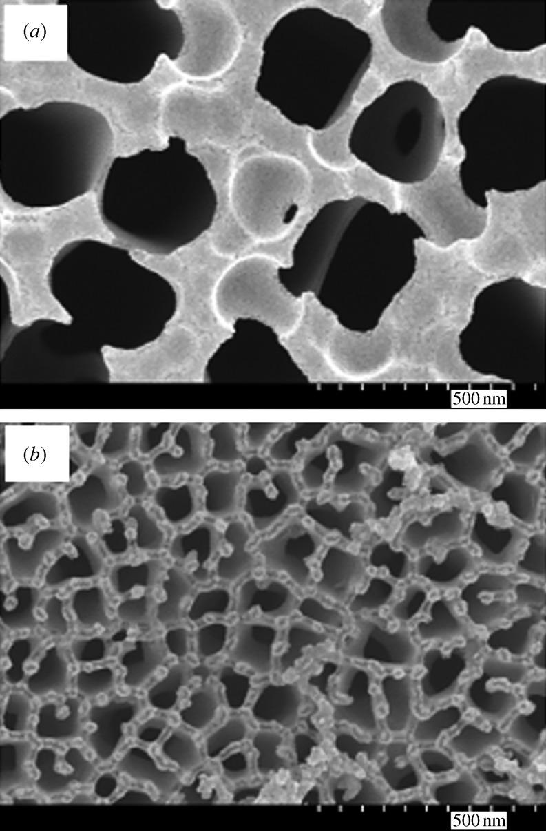 https://cdn.ncbi.nlm.nih.gov/pmc/blobs/0bc9/2944392/7b686bc28ff3/rsta20100011-g1.jpg