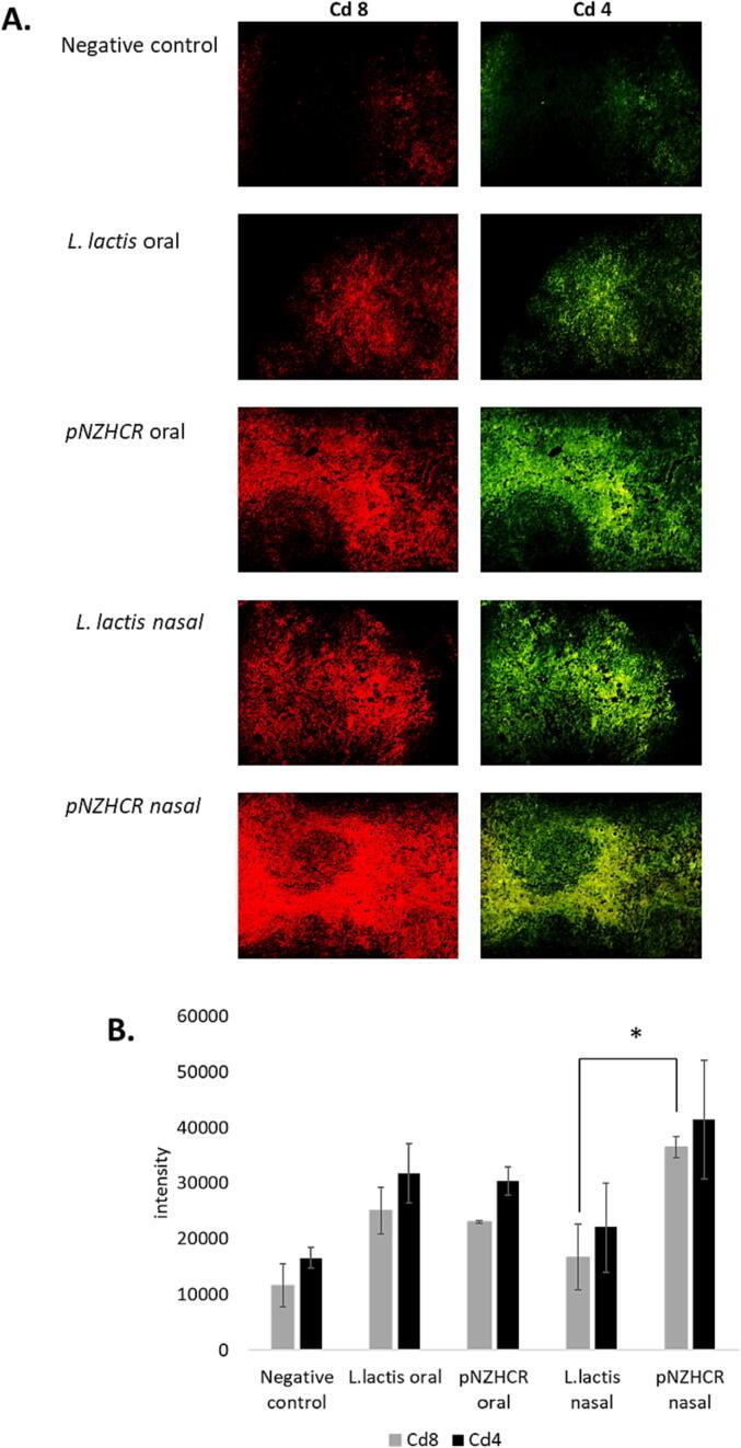 https://cdn.ncbi.nlm.nih.gov/pmc/blobs/0bcd/10101847/6b6ca98b9ad4/gr5.jpg