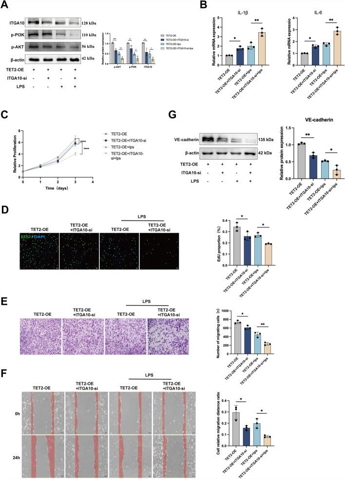 https://cdn.ncbi.nlm.nih.gov/pmc/blobs/0bcd/12090539/380026eae4fa/11658_2025_739_Fig6_HTML.jpg