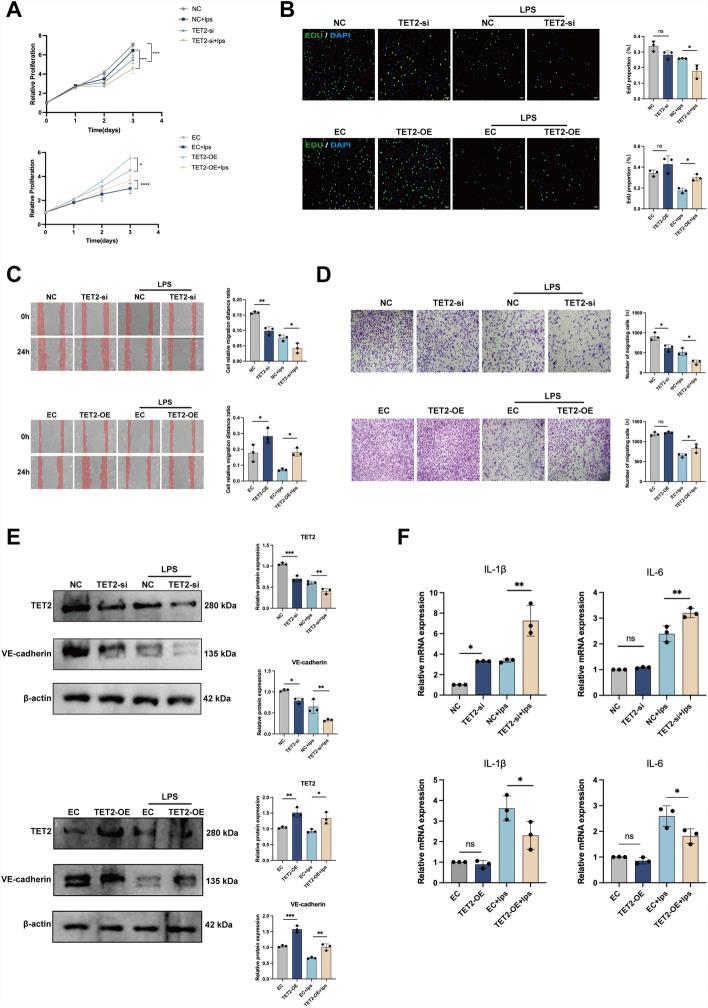 https://cdn.ncbi.nlm.nih.gov/pmc/blobs/0bcd/12090539/f02195989272/11658_2025_739_Fig3_HTML.jpg