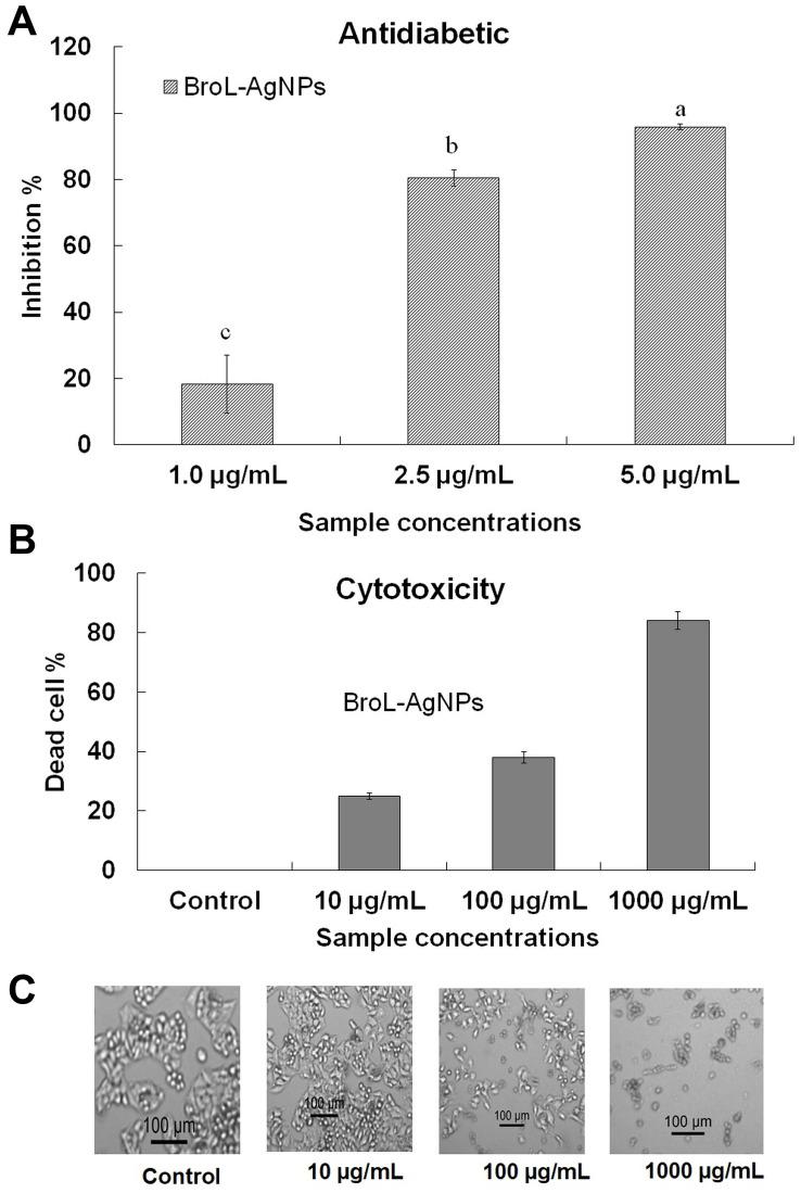 https://cdn.ncbi.nlm.nih.gov/pmc/blobs/0bcd/8934171/36adb3b4f23c/IJN-17-1125-g0005.jpg