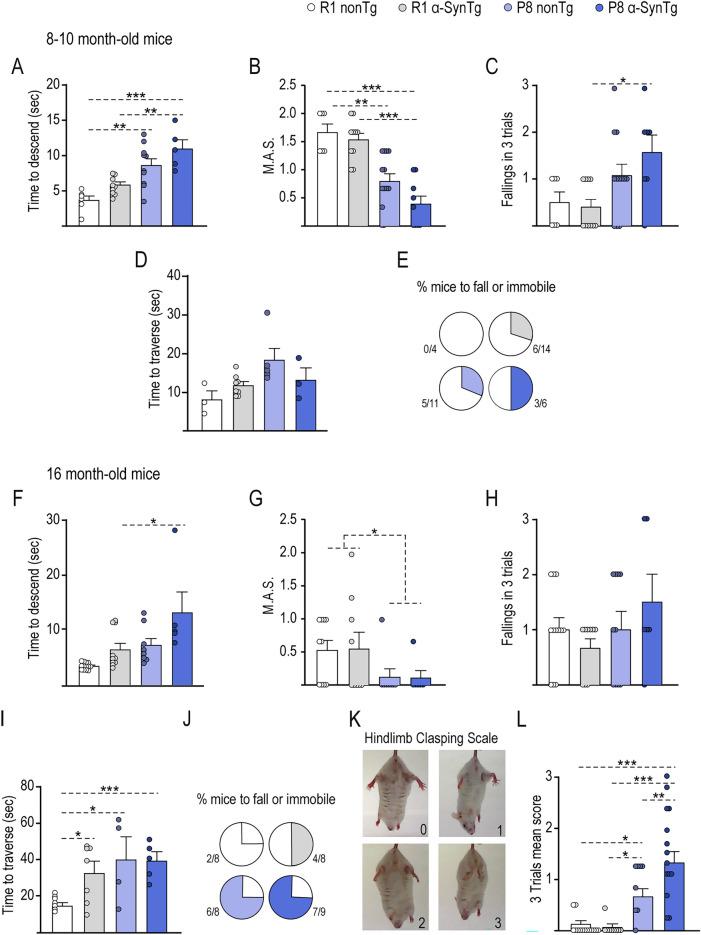 https://cdn.ncbi.nlm.nih.gov/pmc/blobs/0bce/10828501/28933b5a1494/41598_2024_53093_Fig2_HTML.jpg