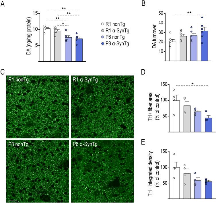 https://cdn.ncbi.nlm.nih.gov/pmc/blobs/0bce/10828501/44c56bf0f414/41598_2024_53093_Fig3_HTML.jpg