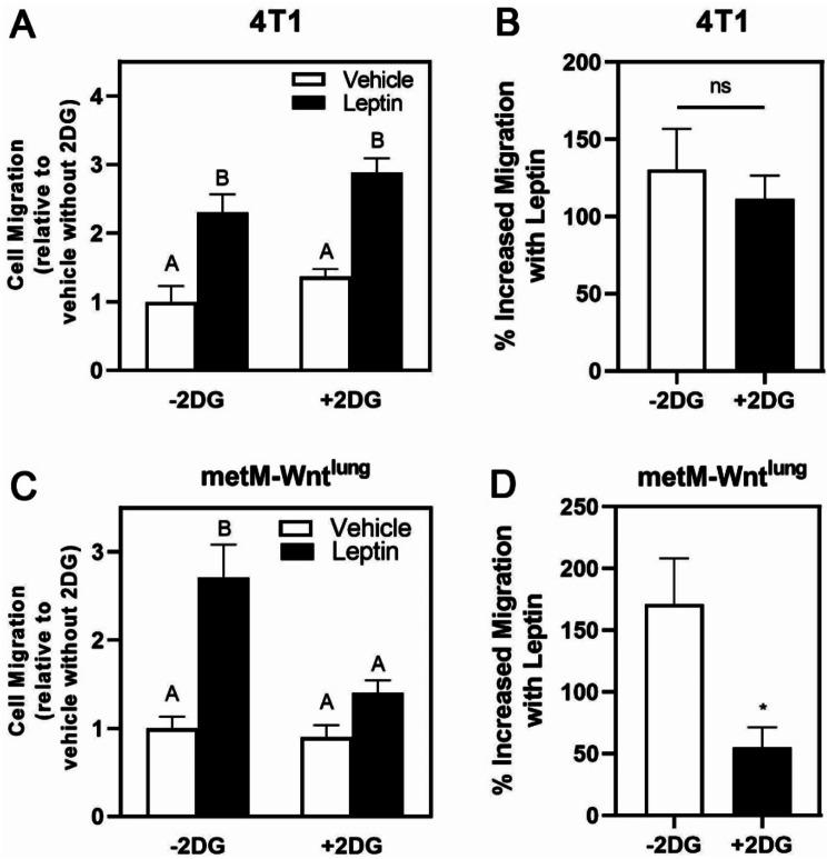https://cdn.ncbi.nlm.nih.gov/pmc/blobs/0bce/11603625/f4075595d0c4/13098_2024_1535_Fig7_HTML.jpg