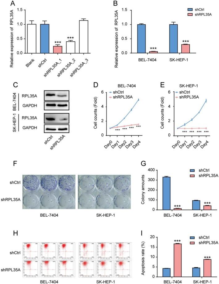 https://cdn.ncbi.nlm.nih.gov/pmc/blobs/0bcf/12185999/edc88009ab76/CAM4-14-e70985-g003.jpg