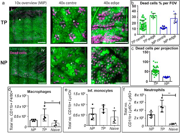 https://cdn.ncbi.nlm.nih.gov/pmc/blobs/0bd0/4890175/9aabcdd3602e/srep27217-f2.jpg