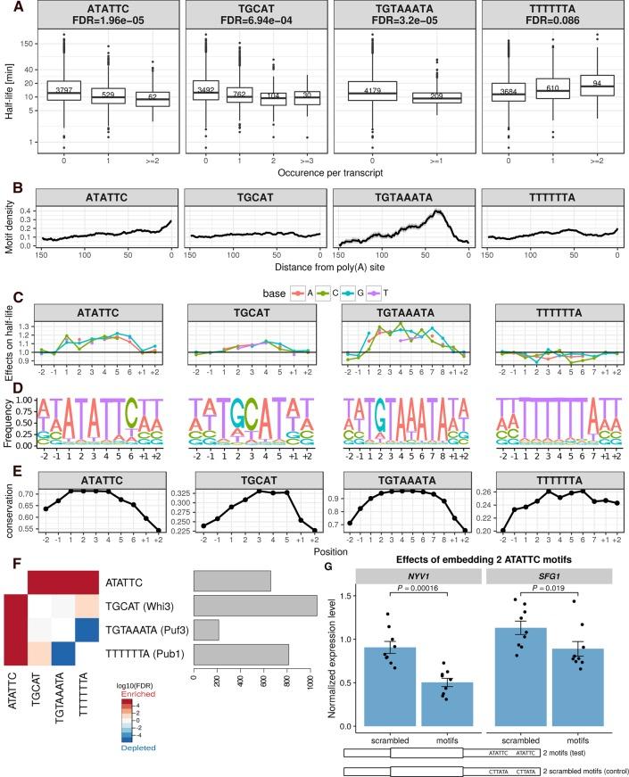 https://cdn.ncbi.nlm.nih.gov/pmc/blobs/0bd0/5648033/d0ec921b97e9/1648f04.jpg