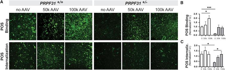 https://cdn.ncbi.nlm.nih.gov/pmc/blobs/0bd1/6909184/75d9a8b923d5/gr4.jpg