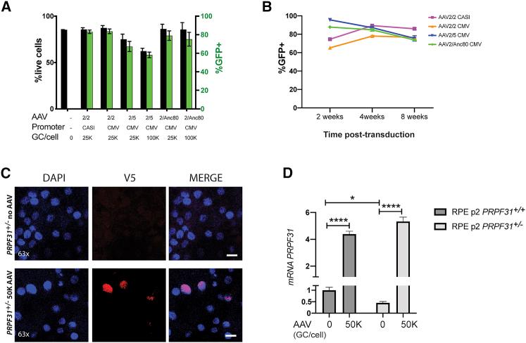 https://cdn.ncbi.nlm.nih.gov/pmc/blobs/0bd1/6909184/9f9229fa17f1/gr3.jpg