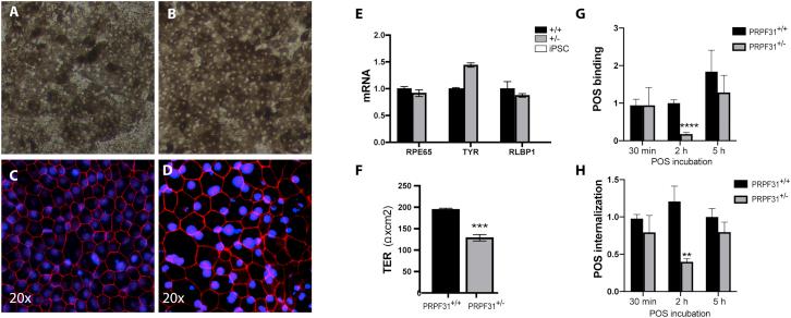 https://cdn.ncbi.nlm.nih.gov/pmc/blobs/0bd1/6909184/feb214790617/gr2.jpg