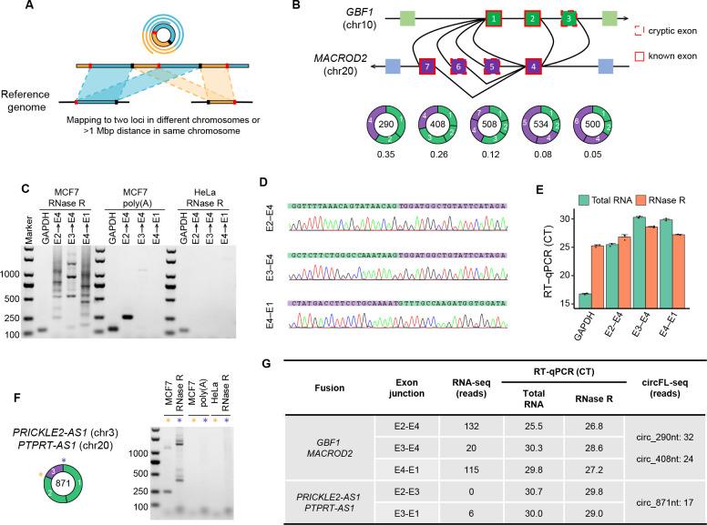 https://cdn.ncbi.nlm.nih.gov/pmc/blobs/0bd6/8550772/2e586c1eb504/elife-69457-fig4.jpg