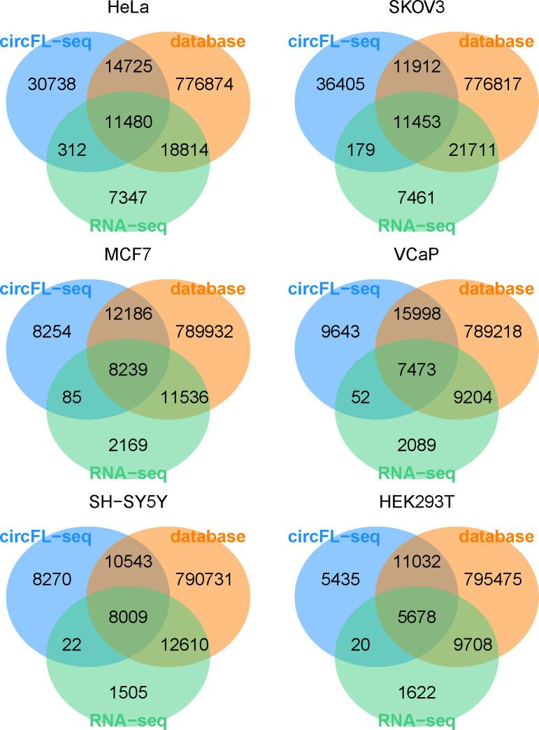 https://cdn.ncbi.nlm.nih.gov/pmc/blobs/0bd6/8550772/42d1c724e79a/elife-69457-fig3-figsupp2.jpg