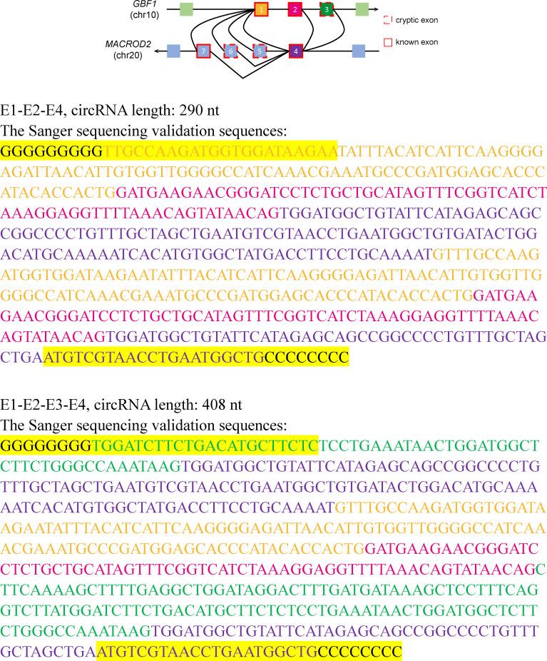 https://cdn.ncbi.nlm.nih.gov/pmc/blobs/0bd6/8550772/7691ee937d37/elife-69457-fig4-figsupp1.jpg