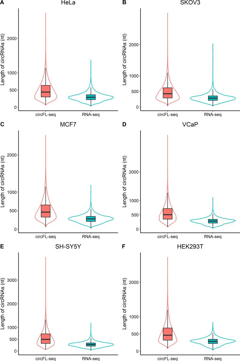 https://cdn.ncbi.nlm.nih.gov/pmc/blobs/0bd6/8550772/baeb3650ced0/elife-69457-fig3-figsupp4.jpg