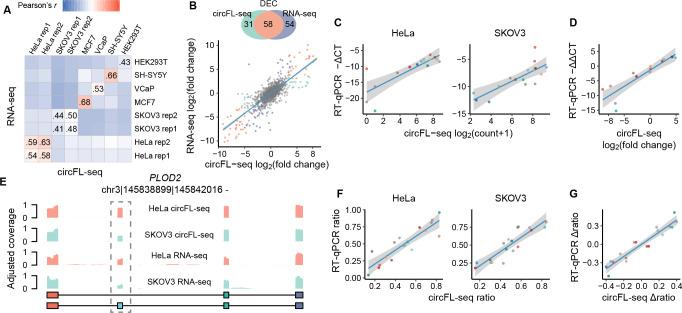 https://cdn.ncbi.nlm.nih.gov/pmc/blobs/0bd6/8550772/fa897687fe4e/elife-69457-fig3.jpg