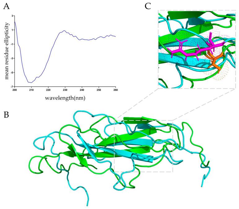 https://cdn.ncbi.nlm.nih.gov/pmc/blobs/0bd7/10223879/db7426adfef0/nutrients-15-02314-g002.jpg