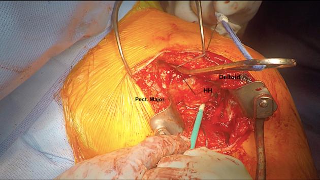 https://cdn.ncbi.nlm.nih.gov/pmc/blobs/0bd7/6305904/14cd4e11e0a5/gr4.jpg