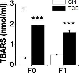 https://cdn.ncbi.nlm.nih.gov/pmc/blobs/0bd9/5579565/98407b571e68/OpenVetJ-7-244-g006.jpg