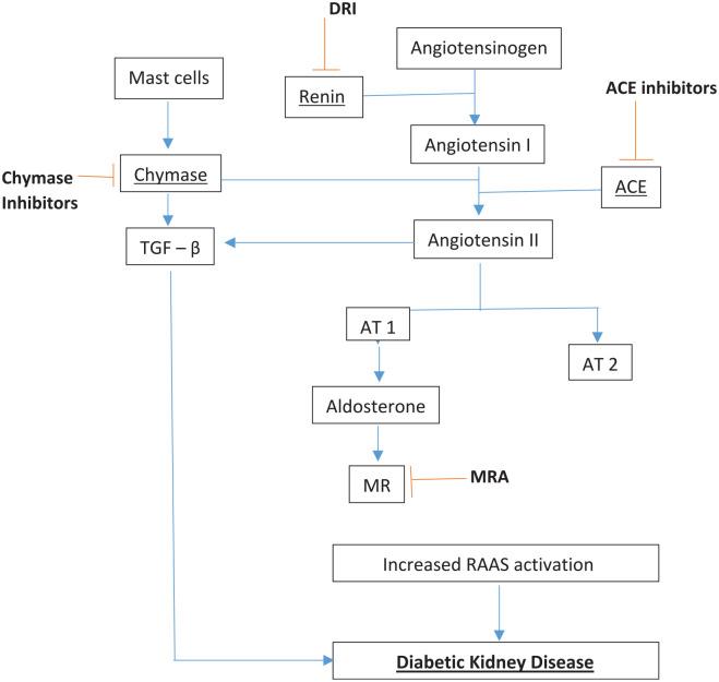 https://cdn.ncbi.nlm.nih.gov/pmc/blobs/0bd9/8905210/0f24cdee19ff/10.1177_20420188221081601-fig1.jpg