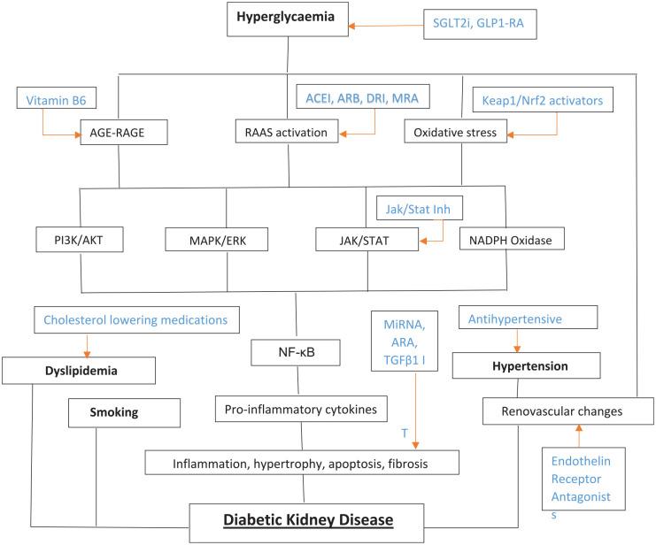 https://cdn.ncbi.nlm.nih.gov/pmc/blobs/0bd9/8905210/6ce9846e3be1/10.1177_20420188221081601-fig2.jpg