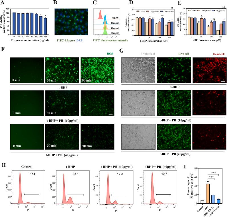https://cdn.ncbi.nlm.nih.gov/pmc/blobs/0bdd/12390960/06ab8f339133/gr4.jpg