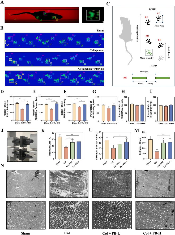 https://cdn.ncbi.nlm.nih.gov/pmc/blobs/0bdd/12390960/2453c36bcc58/gr3.jpg