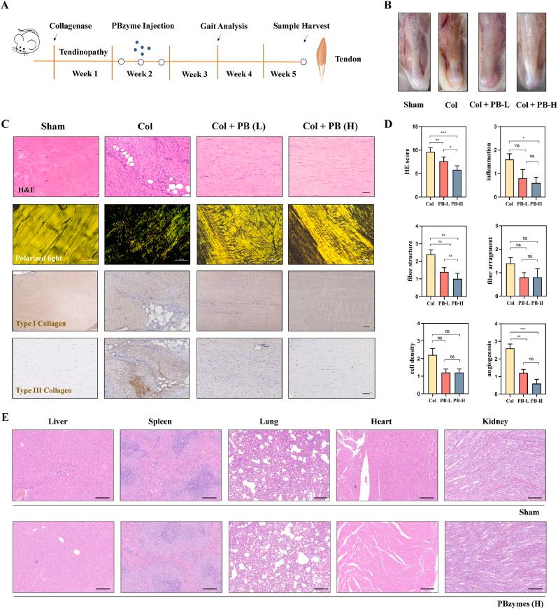 https://cdn.ncbi.nlm.nih.gov/pmc/blobs/0bdd/12390960/6884bb1b42ae/gr2.jpg