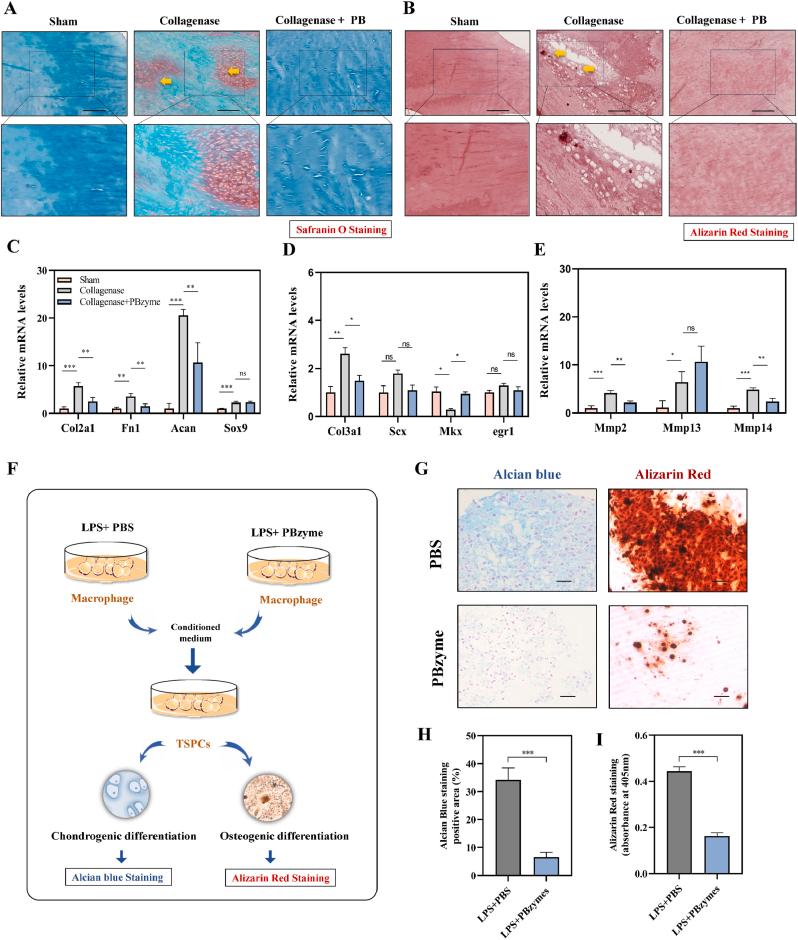 https://cdn.ncbi.nlm.nih.gov/pmc/blobs/0bdd/12390960/b8283ae87379/gr6.jpg