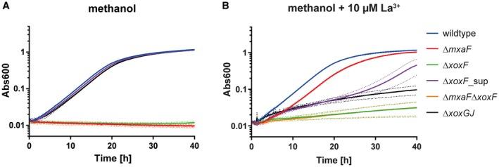 https://cdn.ncbi.nlm.nih.gov/pmc/blobs/0bdf/6850437/78a8e101bdc0/MMI-111-1152-g001.jpg