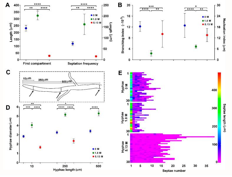 https://cdn.ncbi.nlm.nih.gov/pmc/blobs/0be3/7711451/90ad42e878e9/jof-06-00316-g002.jpg