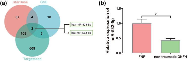 https://cdn.ncbi.nlm.nih.gov/pmc/blobs/0be4/10997031/50d9eec6efb7/j_med-2024-0943-fig001.jpg