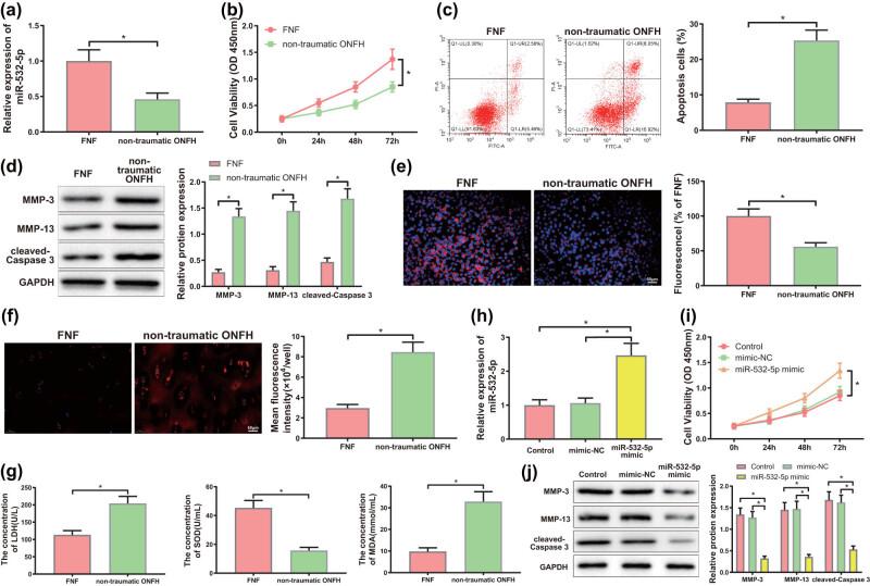 https://cdn.ncbi.nlm.nih.gov/pmc/blobs/0be4/10997031/db18d67942f1/j_med-2024-0943-fig004a.jpg