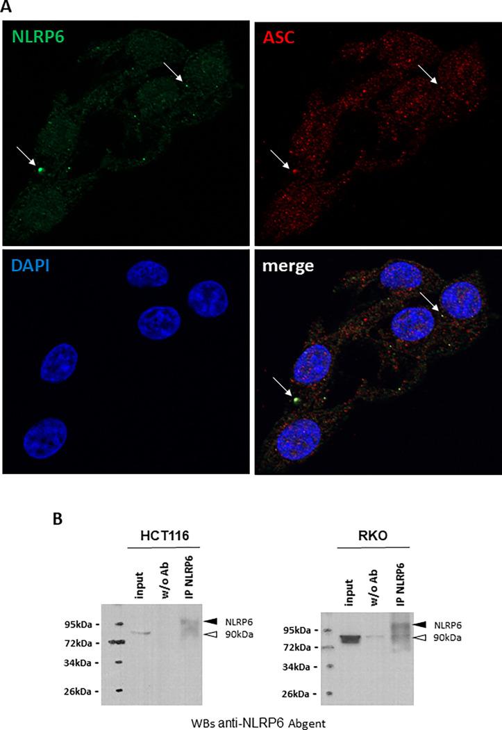 https://cdn.ncbi.nlm.nih.gov/pmc/blobs/0be4/9858803/459bd184d78f/pone.0279028.g003.jpg
