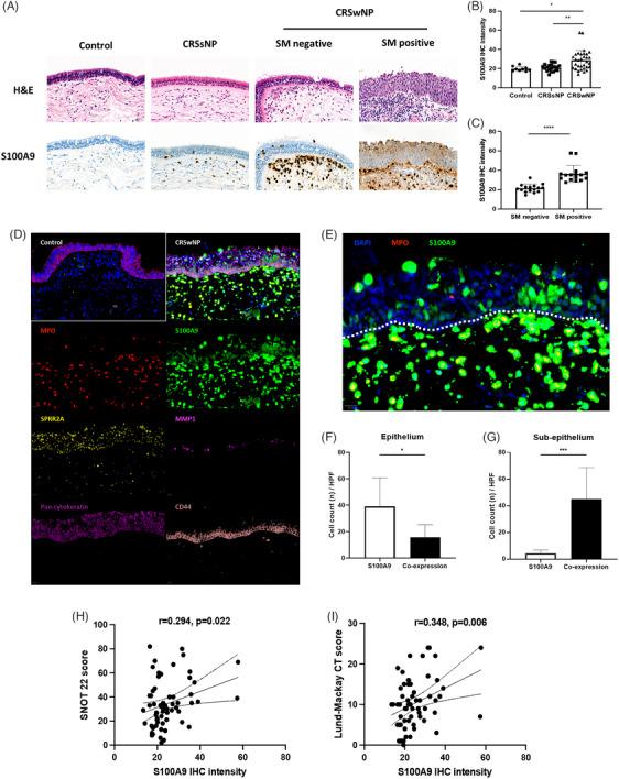 https://cdn.ncbi.nlm.nih.gov/pmc/blobs/0be5/11785152/2c02941a14c2/ALR-15-135-g002.jpg