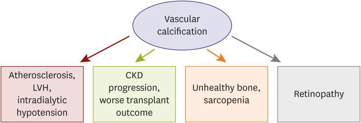 https://cdn.ncbi.nlm.nih.gov/pmc/blobs/0be5/8636761/c40c95136674/kcj-51-961-g004.jpg