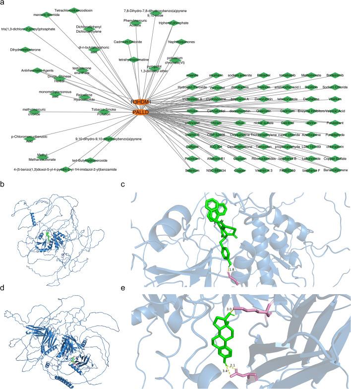 https://cdn.ncbi.nlm.nih.gov/pmc/blobs/0be7/12263484/4bd0f0077532/240_2025_1809_Fig6_HTML.jpg