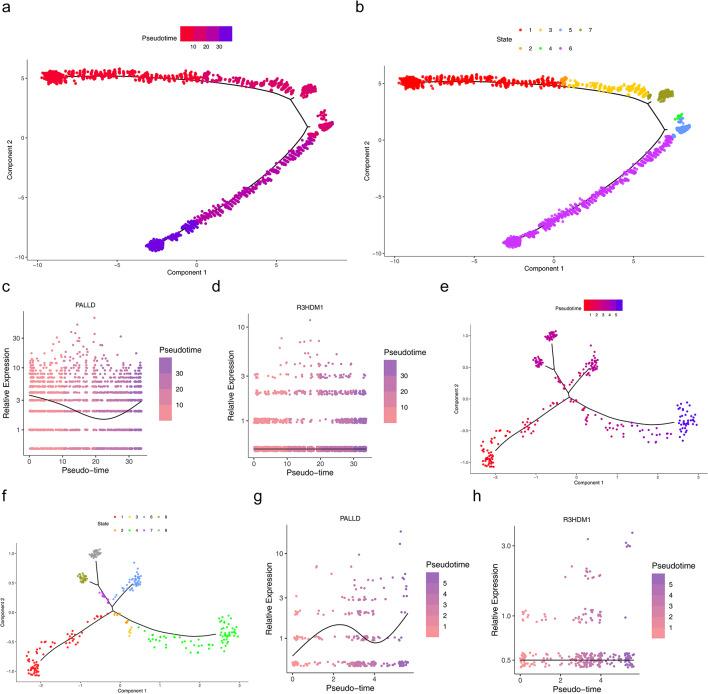 https://cdn.ncbi.nlm.nih.gov/pmc/blobs/0be7/12263484/9511bdc13e97/240_2025_1809_Fig10_HTML.jpg