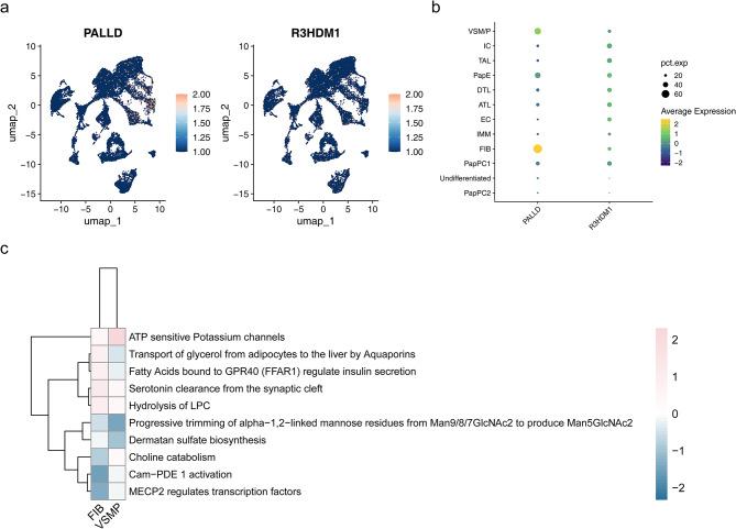 https://cdn.ncbi.nlm.nih.gov/pmc/blobs/0be7/12263484/dd7654852cf1/240_2025_1809_Fig8_HTML.jpg