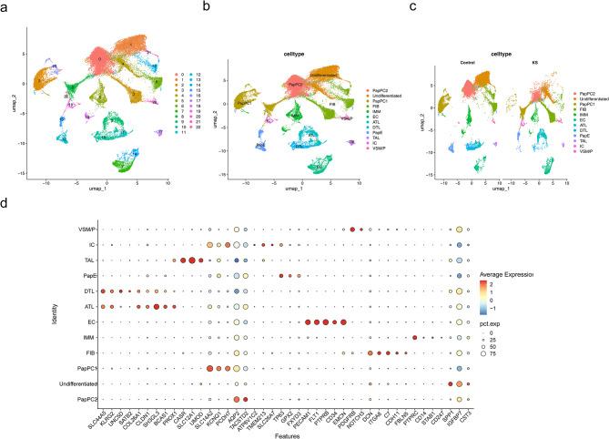 https://cdn.ncbi.nlm.nih.gov/pmc/blobs/0be7/12263484/ebfa816949d4/240_2025_1809_Fig7_HTML.jpg