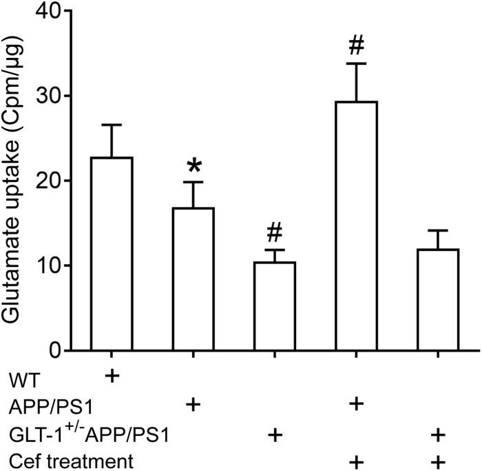 https://cdn.ncbi.nlm.nih.gov/pmc/blobs/0be9/7574737/d9787403143b/fnagi-12-580772-g004.jpg