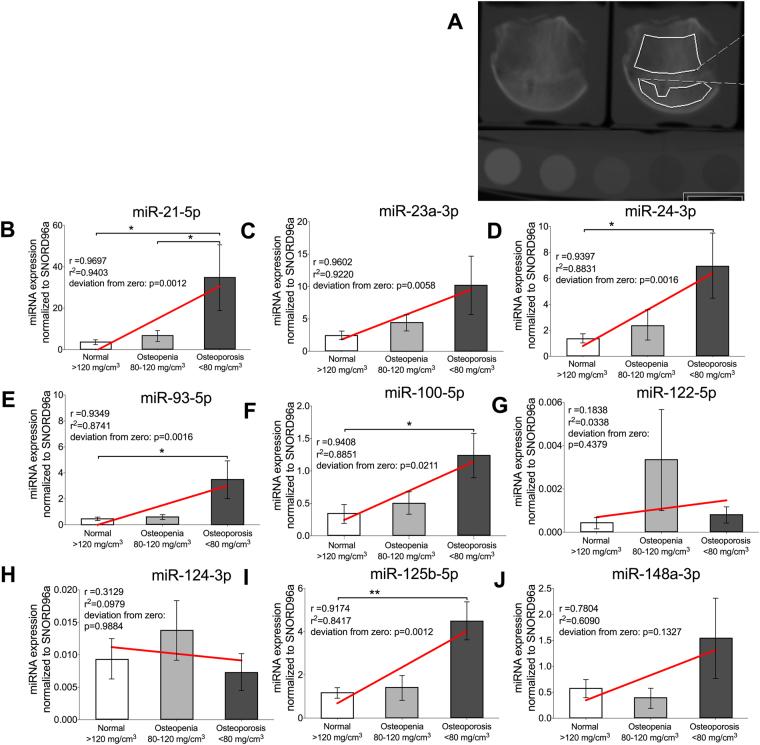 https://cdn.ncbi.nlm.nih.gov/pmc/blobs/0bea/5696459/cb17df45a314/41598_2017_16113_Fig2_HTML.jpg