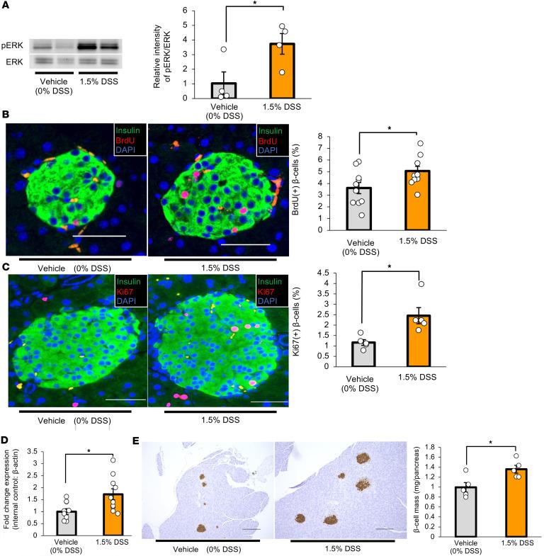 https://cdn.ncbi.nlm.nih.gov/pmc/blobs/0bec/12128978/04cb84b1a511/jciinsight-10-183864-g051.jpg
